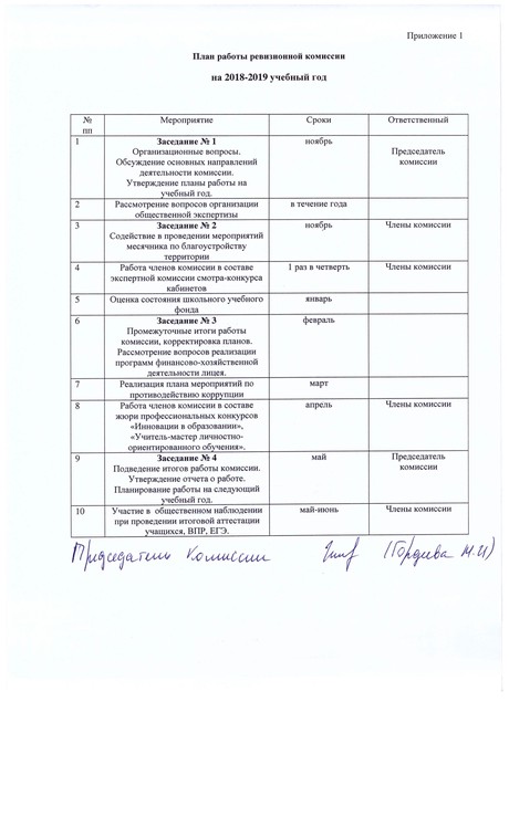План работы ревизионной комиссии акционерного общества образец